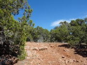 start_of_colorado_trail