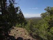 view_between_trees
