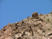 mountain_goats_part_1