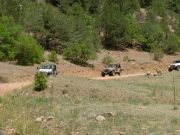 on_the_trail