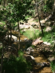 stream_in_the_shade