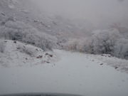 trail_part_3
