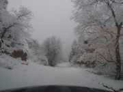 trail_part_4