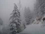trail_part_5