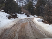 trail_part_4