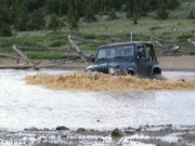 bob_through_the_puddle_part_5