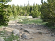 bumpy_section