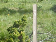 forest_service_sign
