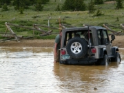 jeffrey_in_the_puddle