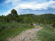 little-used_trail