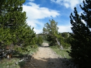 start_of_the_trail