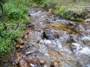 stream_crossing