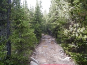 tight_trail