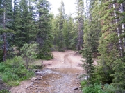 water_crossing