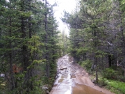 watery_trail