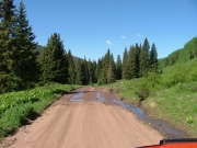 little_mud