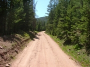 mellow_trail