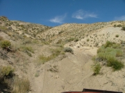 twisty_trail