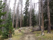 between_cut_logs
