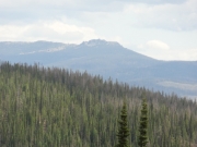 big_view