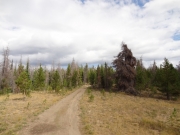 easy_trail