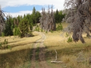 little-used_trail