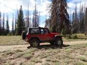 monica_on_the_trail