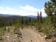 trail_with_a_view