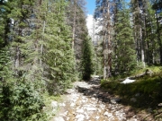 fun_rocks