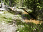 hiking_trail_part_6