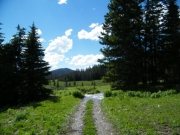 last_bit_of_trail