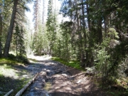 trenches