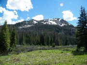 walt_in_scenery
