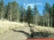 crack_in_the_road