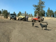 muddy_jeeps