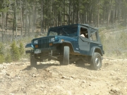 wendy_up_stump_hill_part_2