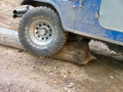 ed_on_a_log