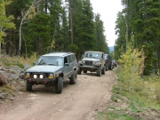 everyone_on_the_trail