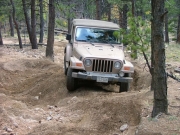 iavor_on_the_trail