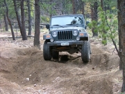 ladd_on_the_trail