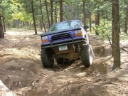perry_flexing