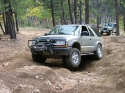 steve_flexing_part_1