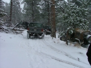 everyone_on_the_hill