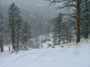 jeeps_at_the_bottom_of_the_hill