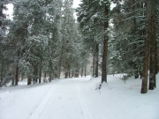 snowy_trail_part_2