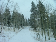snowy_trail_part_3