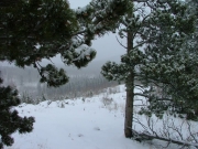 snowy_trail_part_4