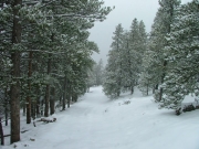 snowy_trail_part_5