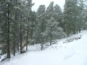 snowy_trail_part_6