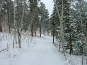 snowy_trail_part_8